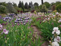 /album/floraison-16-mai-2021/20210516-102136-jpg/